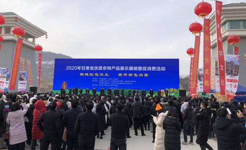 2020年甘肅省優(yōu)質(zhì)農(nóng)特產(chǎn)品展示展銷暨促消費(fèi)活動(dòng)圓滿落幕，品牌農(nóng)業(yè)奏響消費(fèi)新樂章